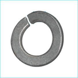 Curve Spring Washer